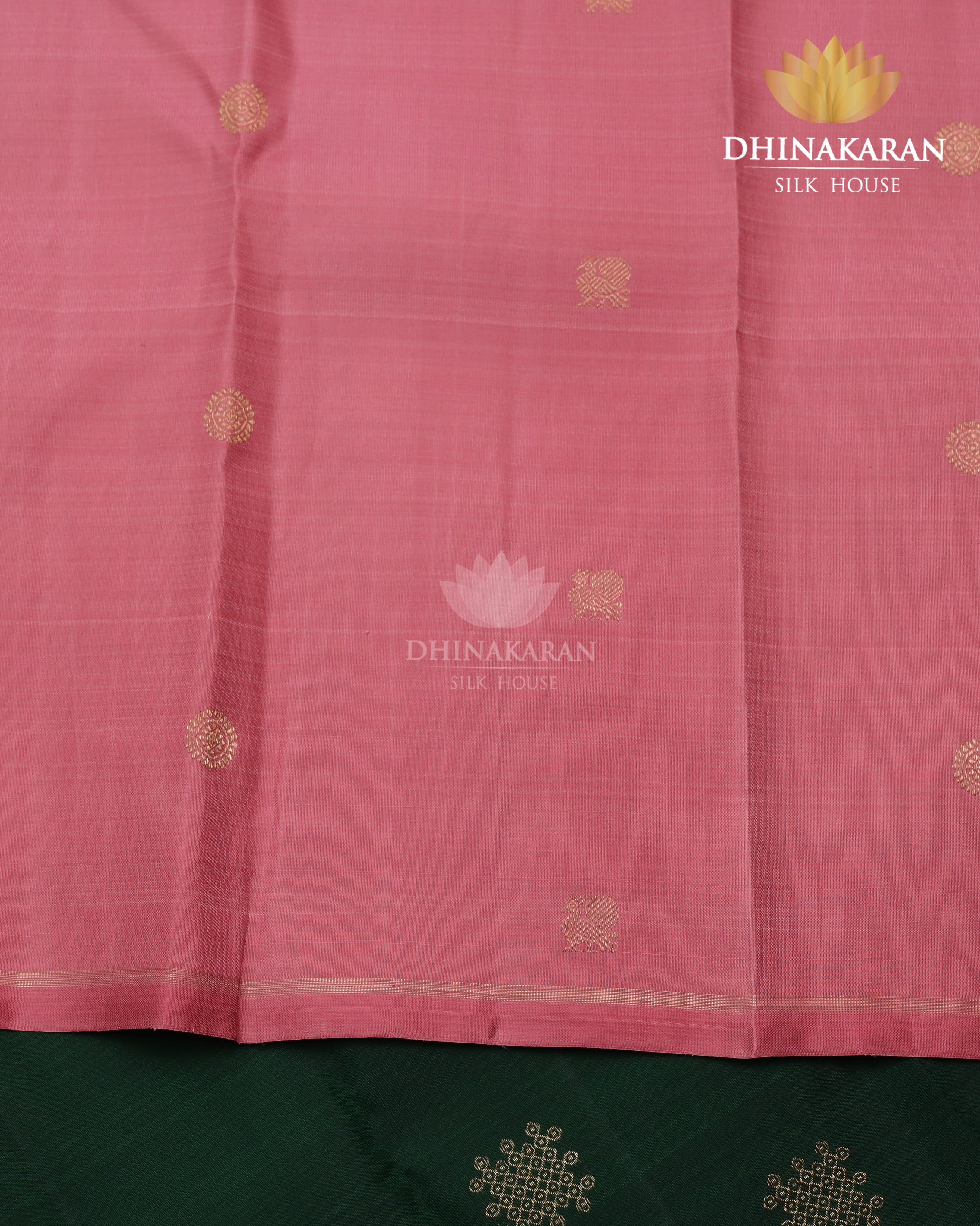 Borderless Kanjivaram-sar2868