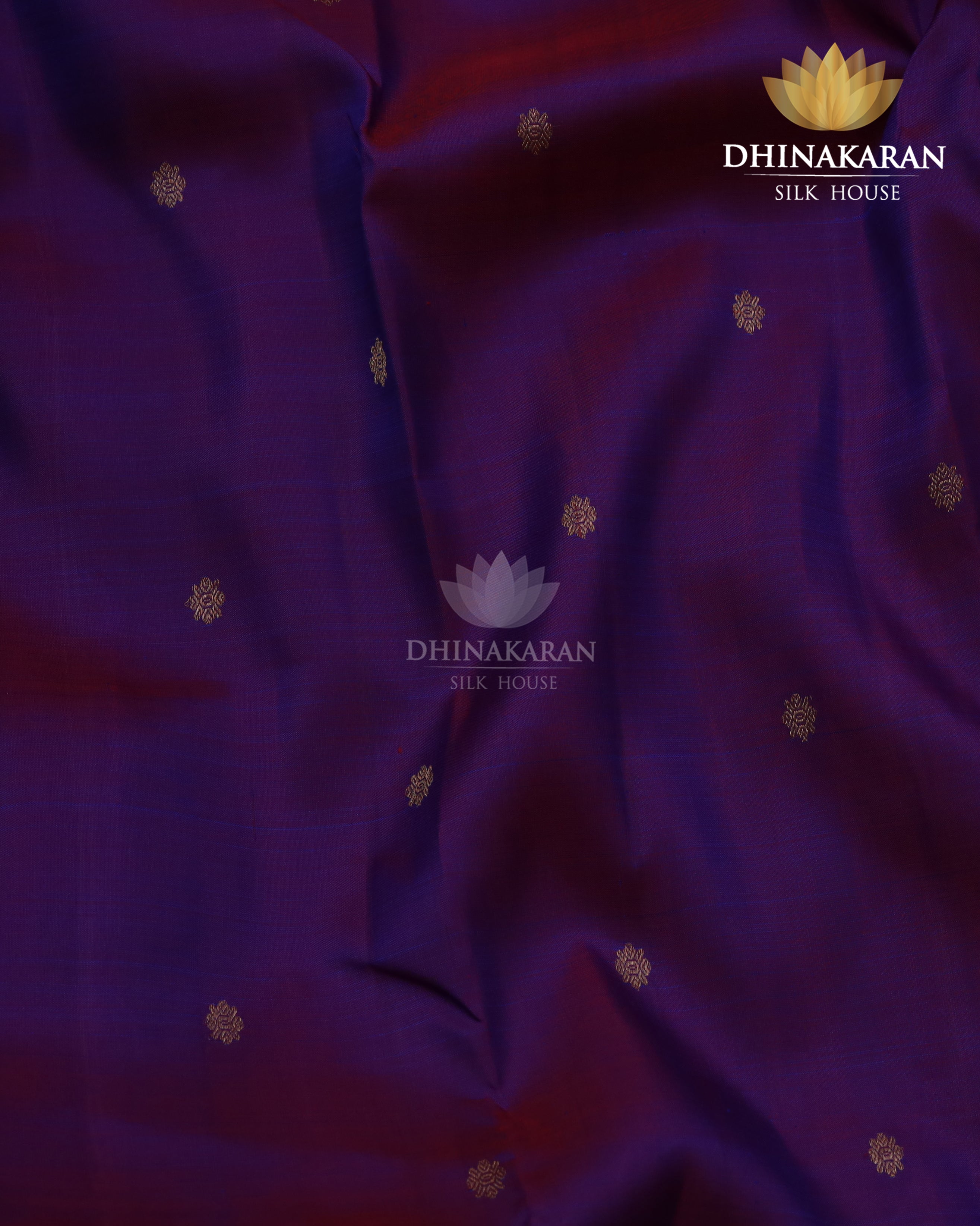 Rettapettu Kanjivaram-sau3010