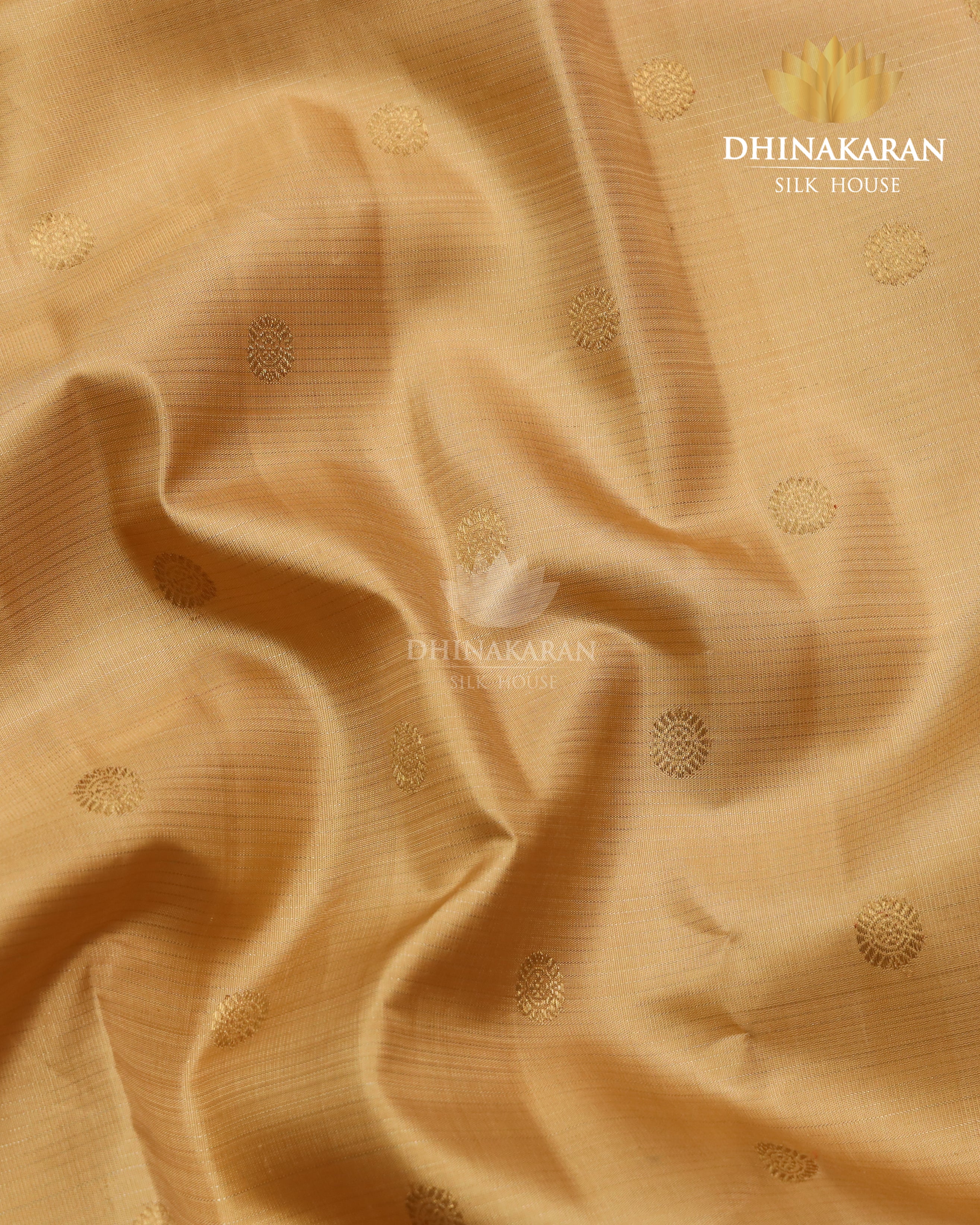 Vairaoosi Kanjivaram-sau3102