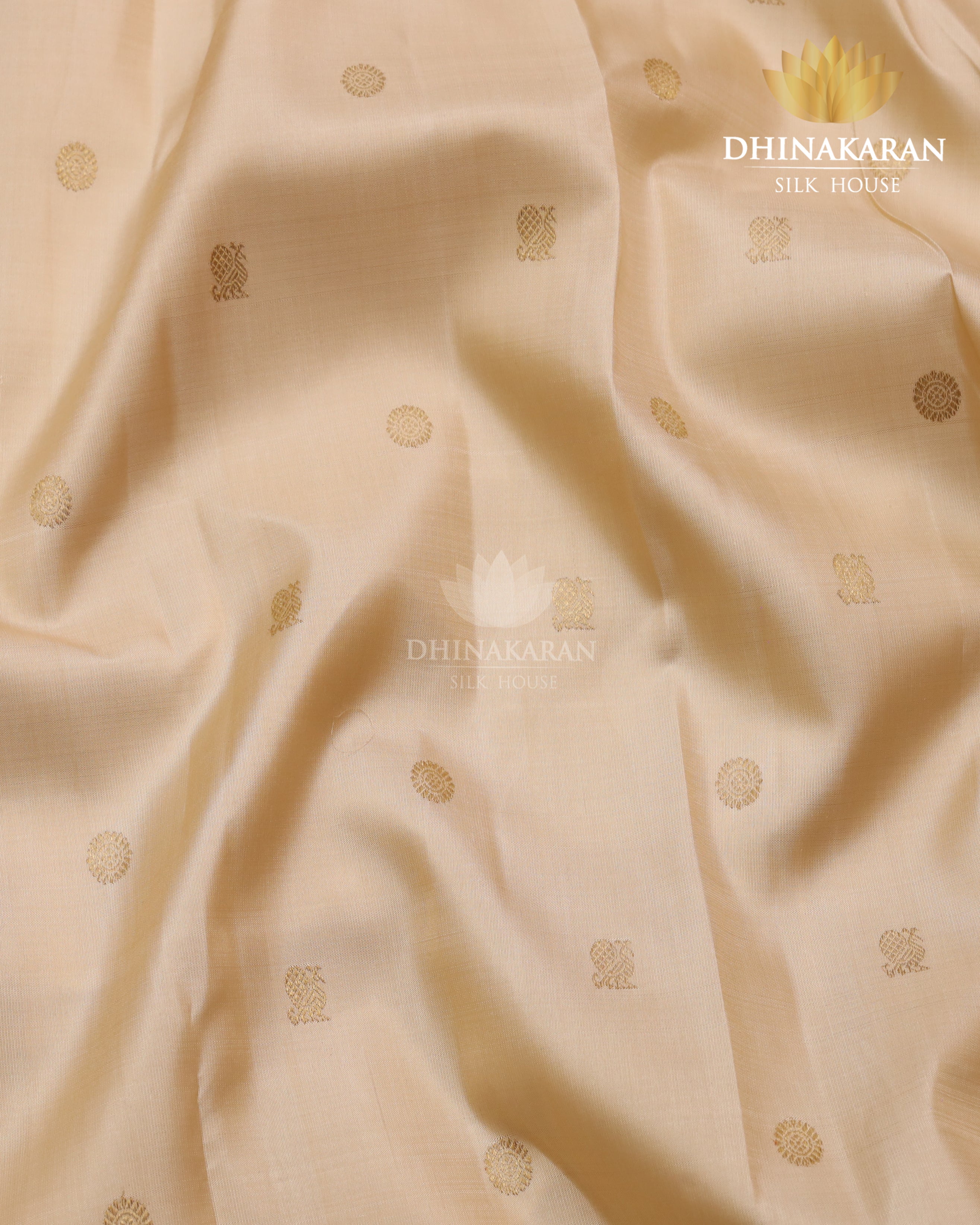 Bieige Kanjivaram-sau4004