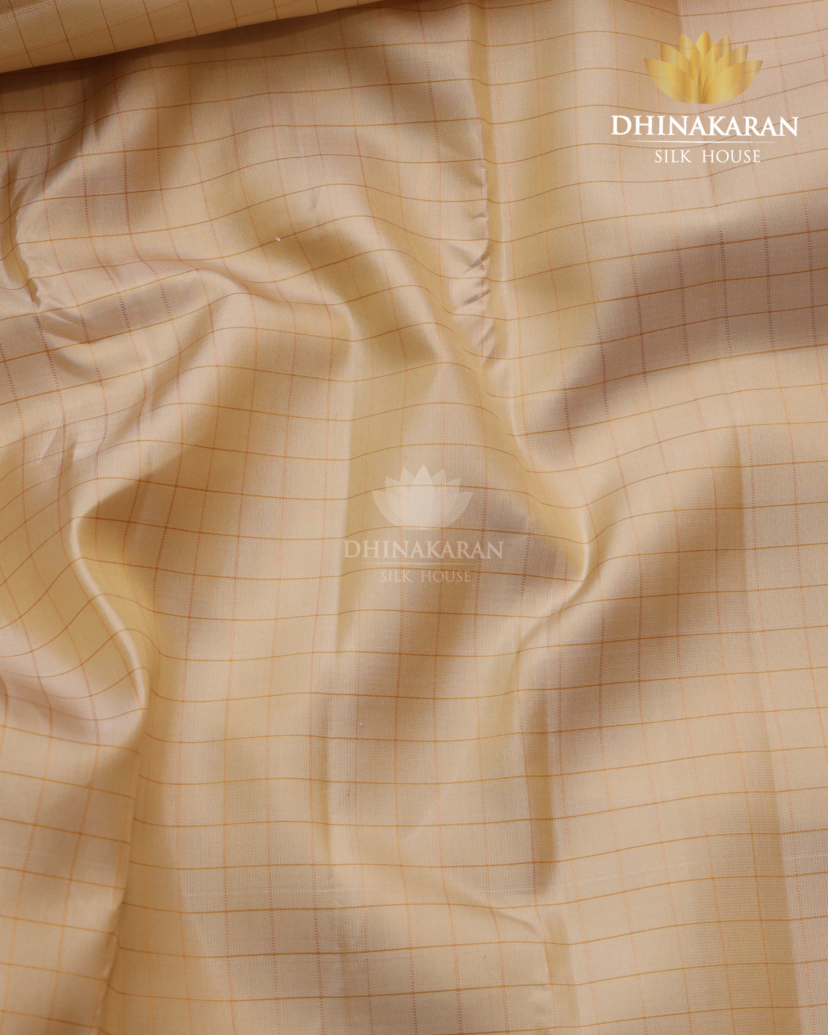 Silk On Silk Kattam Kanjivaram-sar2776