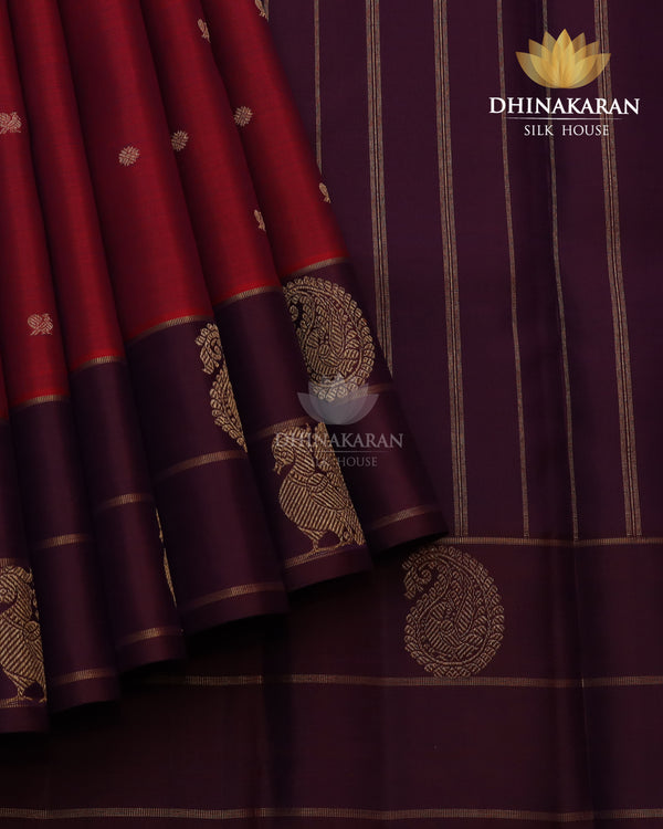 Nagapazham Border Kanjivaram-sar2416