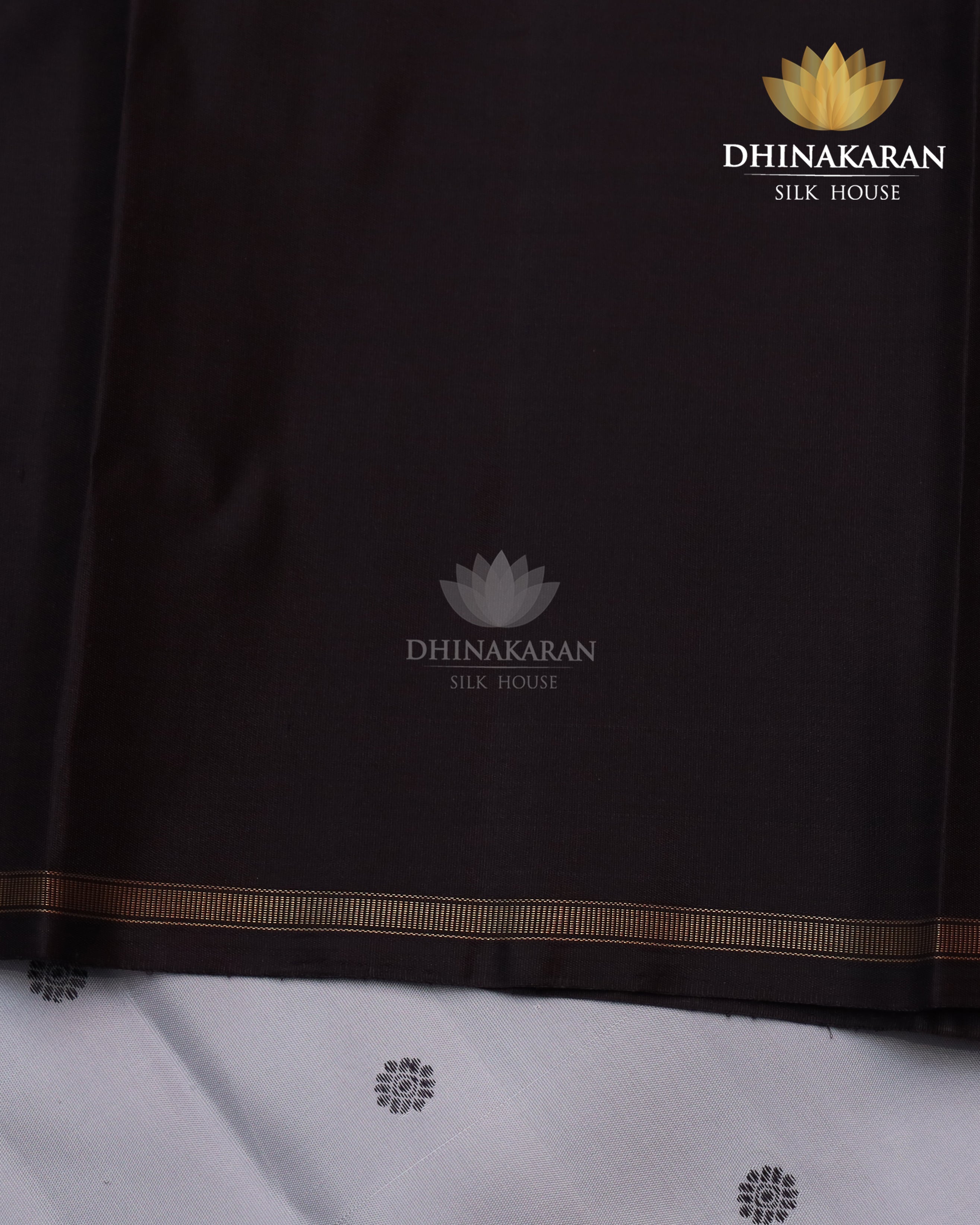 Borderless Kanjivaram-sar2392