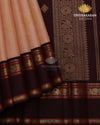 Pastel Korvai Kanjivaram-sau4170