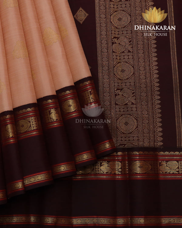 Pastel Korvai Kanjivaram-sau4170