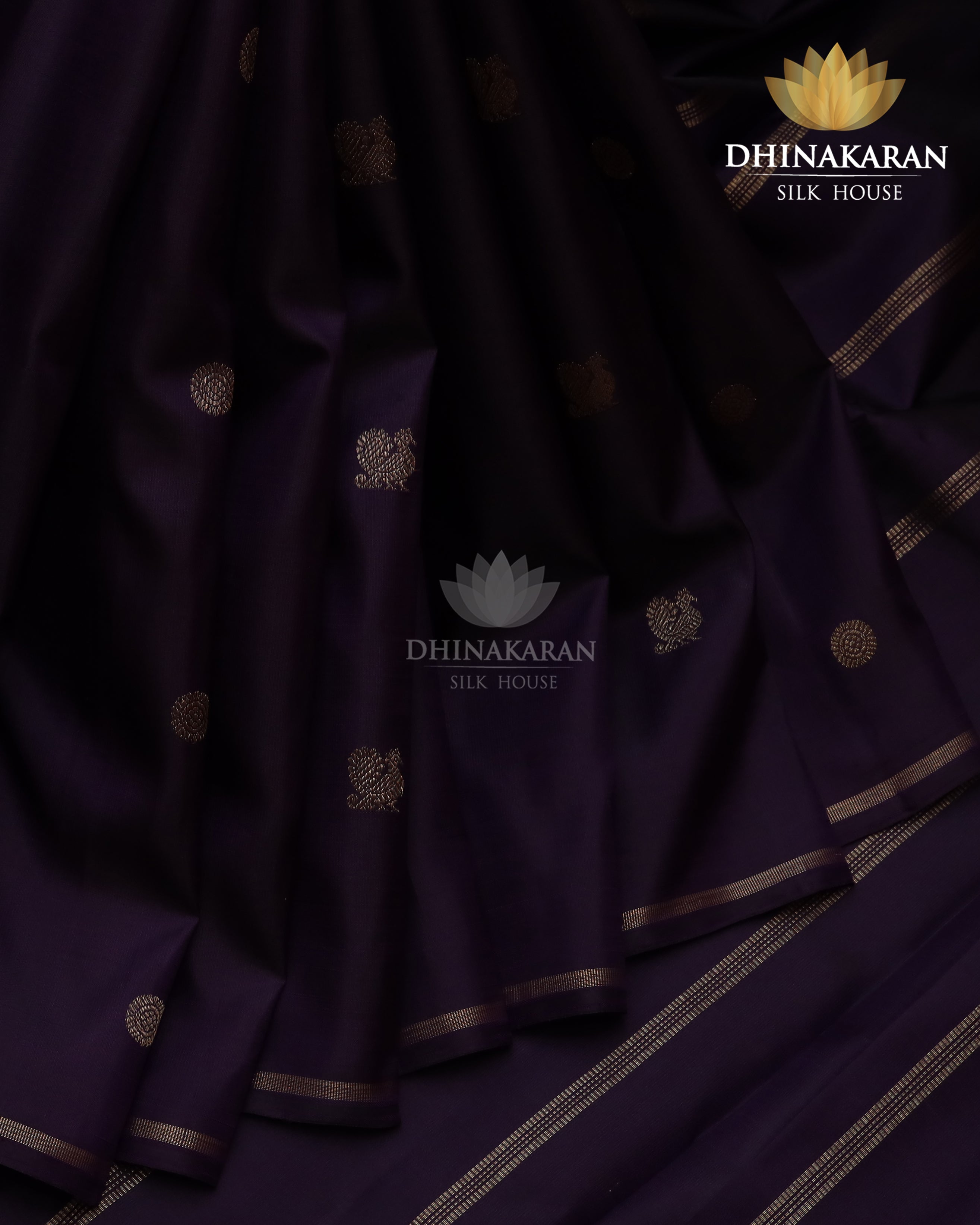 Borderless Kanjivaram-sar2324