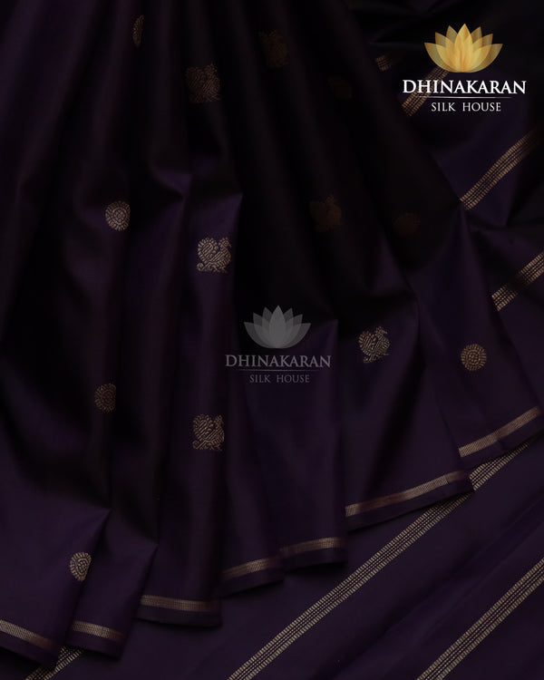 Borderless Kanjivaram-sar2324