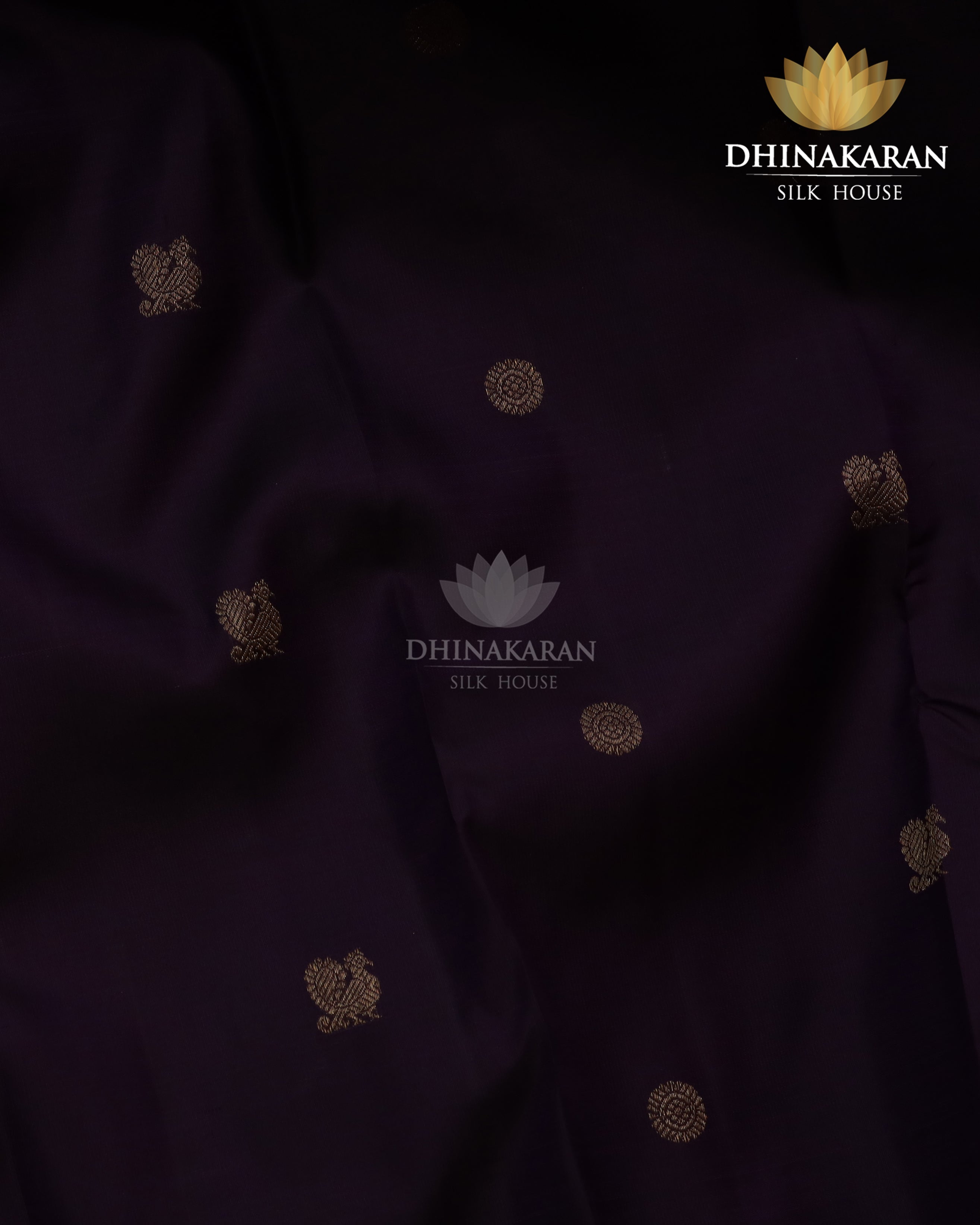 Borderless Kanjivaram-sar2324