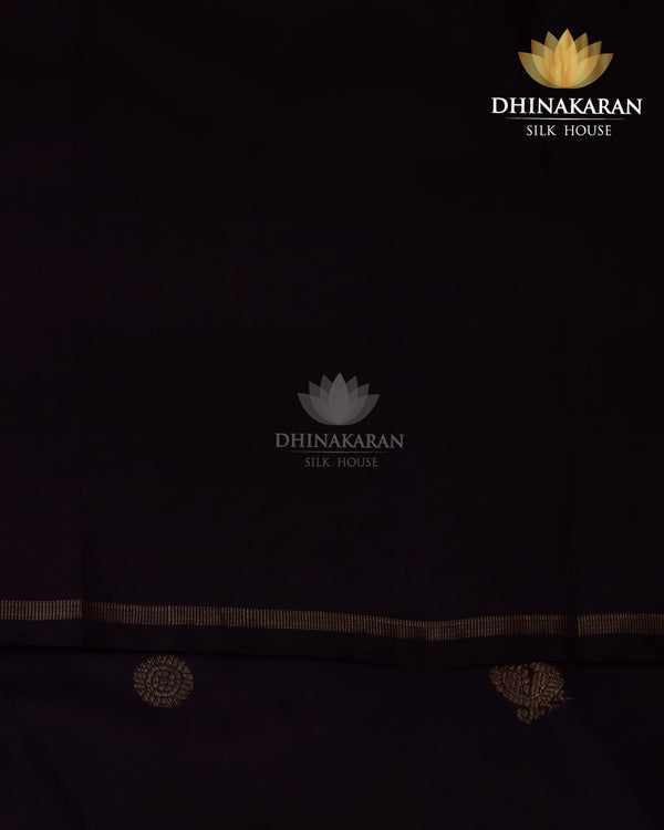 Borderless Kanjivaram-sar2324